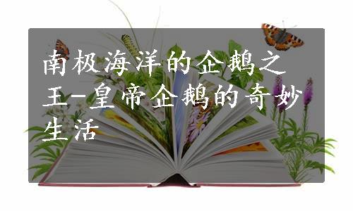 南极海洋的企鹅之王-皇帝企鹅的奇妙生活