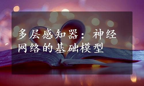 多层感知器：神经网络的基础模型