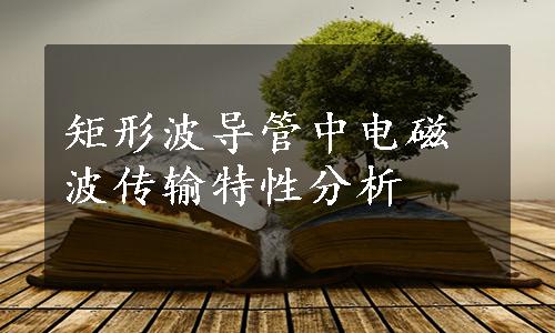 矩形波导管中电磁波传输特性分析