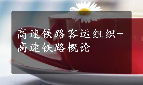 高速铁路客运组织-高速铁路概论