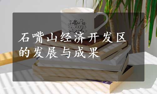 石嘴山经济开发区的发展与成果