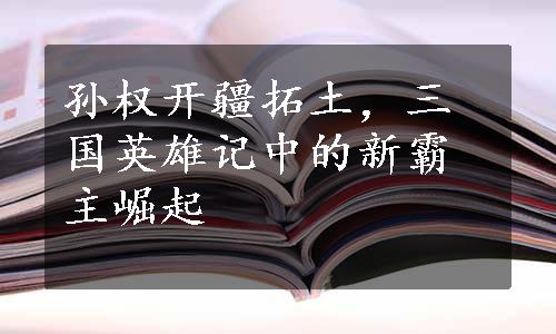孙权开疆拓土，三国英雄记中的新霸主崛起