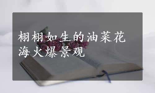 栩栩如生的油菜花海火爆景观