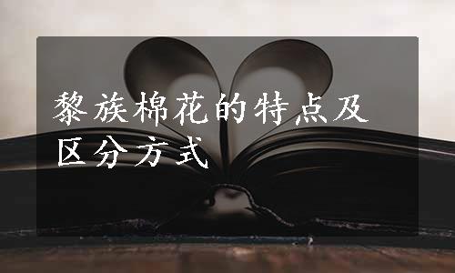 黎族棉花的特点及区分方式