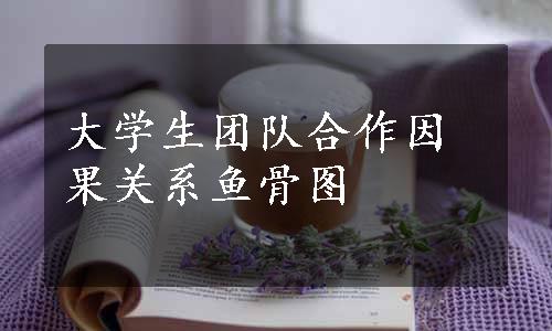 大学生团队合作因果关系鱼骨图