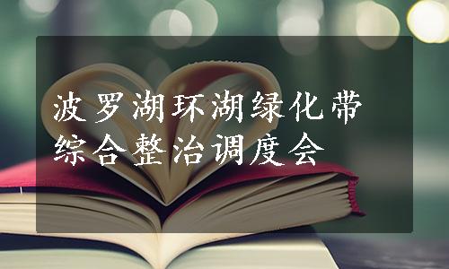 波罗湖环湖绿化带综合整治调度会