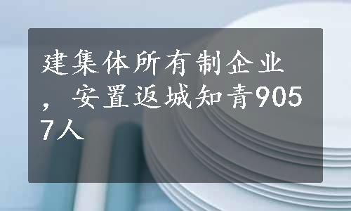 建集体所有制企业，安置返城知青9057人