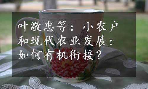 叶敬忠等：小农户和现代农业发展：如何有机衔接？