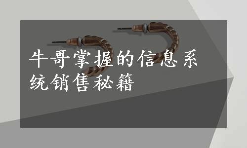 牛哥掌握的信息系统销售秘籍