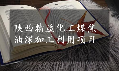陕西精益化工煤焦油深加工利用项目