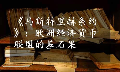 《马斯特里赫条约》：欧洲经济货币联盟的基石果