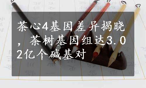 茶心4基因差异揭晓，茶树基因组达3.02亿个碱基对