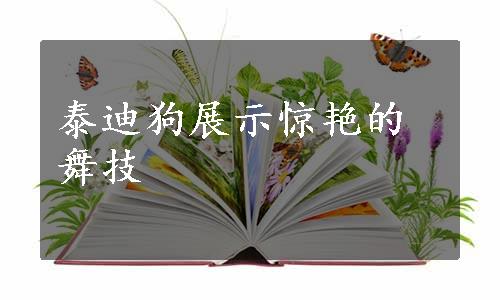 泰迪狗展示惊艳的舞技
