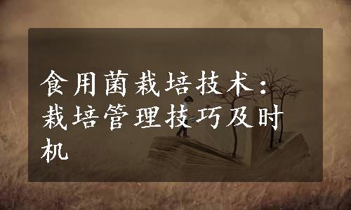食用菌栽培技术：栽培管理技巧及时机