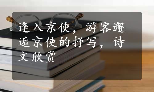 逢入京使，游客邂逅京使的抒写，诗文欣赏