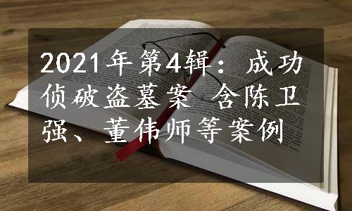 2021年第4辑：成功侦破盗墓案 含陈卫强、董伟师等案例